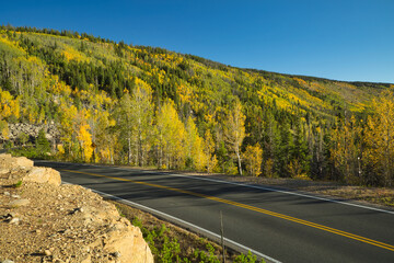 Yellow trees next to a road in Rocky Mountain National Park in Colorado