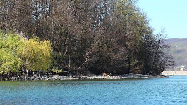 Scenic landscape with a lake and green foliage in spring