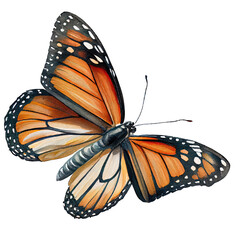 Monarch buterfly. Watercolor with transparent background. Generative AI