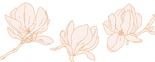 Magnolia flower blooming art. Hand drawn realistic detailed vector illustration. Golden luxury clipart. Horizontal banner.