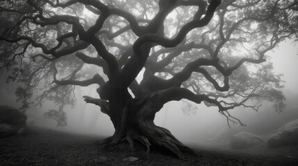A Black And White Photo Of A Tree In A Foggy Forest. Generative AI