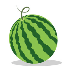 Watermelon on white background, vector illustration
