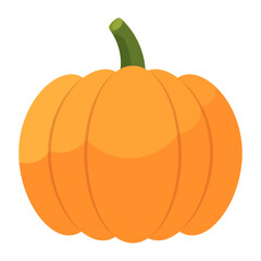 Pumpkin on white background, vector illustration