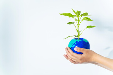 地球の描かれた植木鉢を持つ手　環境保護イメージ