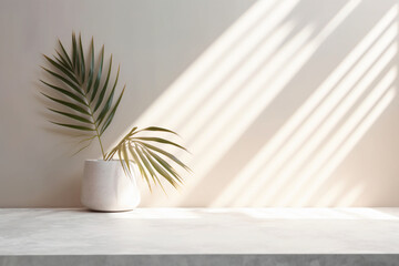 Modern minimal empty white marble stone counter table top, palm tree in sunlight, leaf shadow on concrete wall background for luxury organic cosmetic, skin care, beauty treatment product display