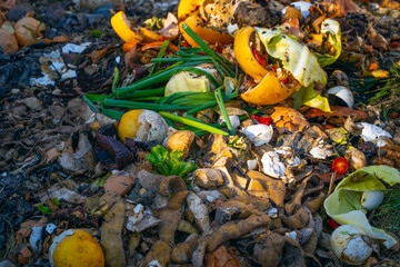 Food waste on a compost heap close-up. Composting of human waste. Organic biodegradable waste