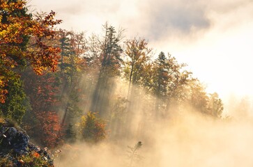 Fabulous colorful autumn landscape. Magical morning in Polish mountains. Photo taken on top of Sokolica in Pieniny, Poland.