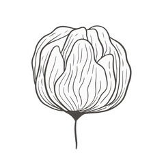 Hand drawn black peony head, rose flower, floral vector illustration. Line art element for wedding invitation card, icon, logo, symbol, coloring book, feminine brand, beauty product, and decoration