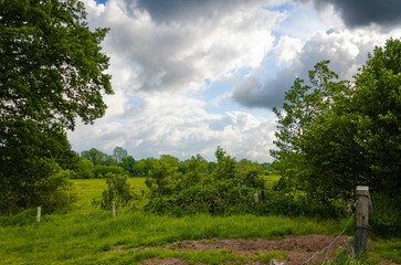 Beautiful scenic landscape of a green field surrounded by trees with a cloudy sky in the background