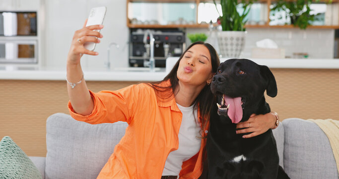 Woman, dog and selfie on living room sofa in home for care hug, touch and embrace for happy friends. Doggy mom, couch and lounge for pet, animal or social media app with smile, relax and photography