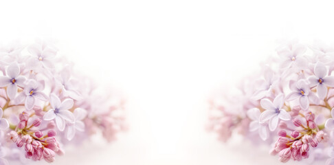 Soft focus image of lilac flowers on white background. AI generated