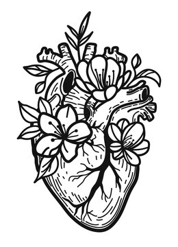 Anatomical heart and flowers, floral heart. Vector illustration.