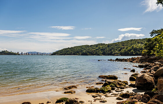 Ara&ccedil;a Beach Landscape
