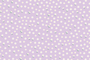 Daisy flower pattern on pastel purple background for wallpaper, backdrop, post card, spring, summer floral print, fabric, clothing pattern, nature, garden, picnic blanket, duvet, phone case, kid dress
