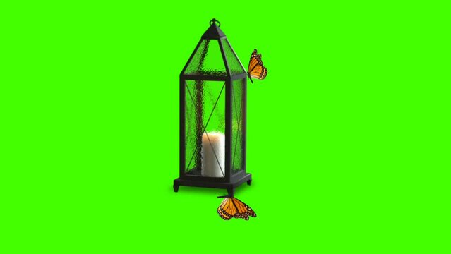 Vintage style lantern lit with animated butterflies isolated on green screen background