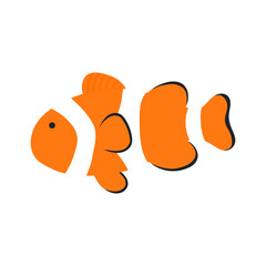 Coral reef fish, clownfish hand drawn illustration. Cartoon style flat design, isolated vector. Kids summer print, seasonal element, holidays, vacations, beach, marine life, aquatic animal