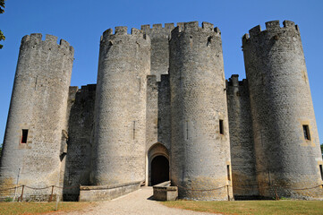 Fototapeta na wymiar France, the medieval castle of Roquetaillade in Gironde
