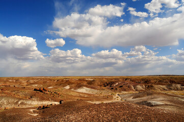Desolate Landscape Petrified Forest Arizona