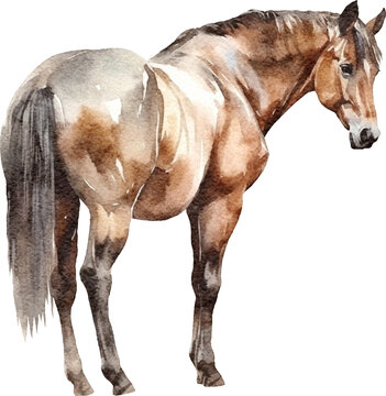 Horse watercolour illustration created with Generative AI technology