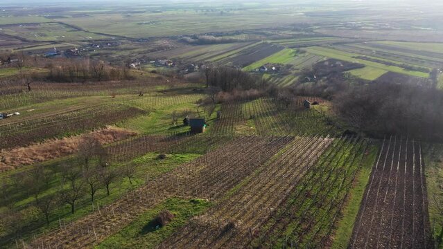 Aerial view of a vineyard on the countryside, videomontage of multiple clips