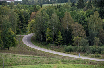 Empty Road in Lithuania with Green Tree and Forest. Nature.