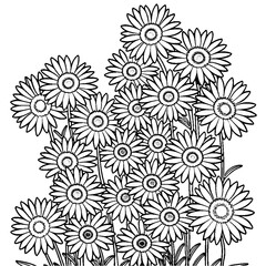 Coloring page of daises on white background