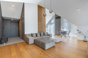 The Stylish Spacious Luxury Interior Design of Living Room with Design Gray Sofa, Coffee Table, Decoration, Pillows in Modern Home Decor. Modern Living Room