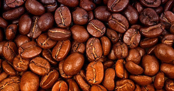 coffee beans background © marina