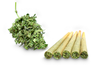 Marijuana joint pre-rolled cone paper