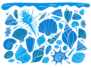 貝殻のイラストセット