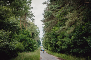 Familie auf einer Fahrradtour durch Niedersachsen in den Sommerferien fährt durch einen Wald, Deutschland