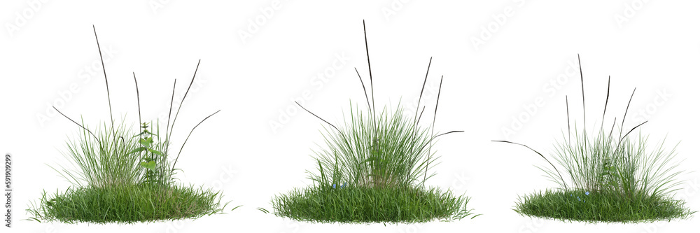 Poster collection green grass on transparent background 3d rendering png..