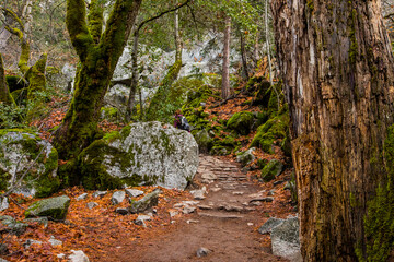 Winter landscape in Yosemite National Park, Unites States Of America