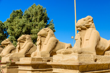 Fototapeta premium Avenue of the ram-headed Sphinxes in a Karnak Temple. Luxor, Egypt