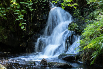 Small waterfall with abundant water, in a park in the village of Poio, near the city of Pontevedra, in Galicia (Spain).