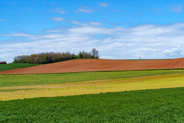 Fototapeta na wymiar Rural landscape in Brianza near Usmate and Lomagna
