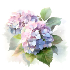 Watercolor illustration of hydrangea flower, isolated on white background. Generative AI