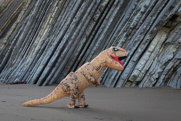 T-rex  next to Flysh Cliffs on the Itzurun Beach in Zumaia, Basque Country, Spain. Dinosaur next to rocks.