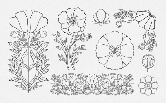 Floral poppy plant in art nouveau 1920-1930. Hand drawn in a linear style with weaves of lines, leaves and flowers.