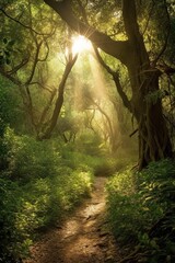 Illustration of sunlight streaming through the trees in a peaceful forest