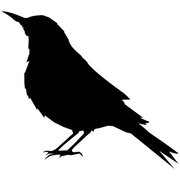 recommend clip art: Bird silhouette