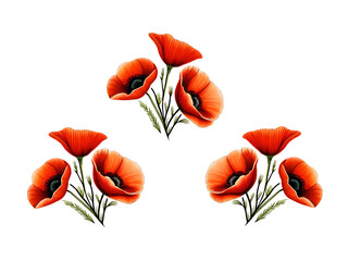 Stylized Red Poppies Digital Painting, Watercolor Style with White Background and Copy Space, Remembrance Day, Pastel Colors