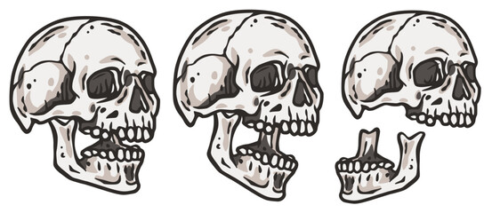 Skull vector set for halloween design. Skeleton head collection or bone brutal skull