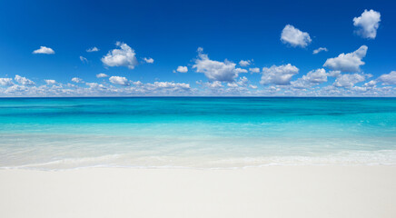 Fototapeta na wymiar tropical Maldives island with white sandy beach and sea