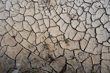 Barren terrain due to lack of rain.
