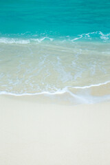 beautiful beach and tropical sea