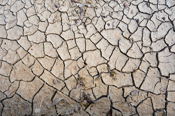 Barren terrain due to lack of rain.

