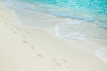  beach and tropical sea. beach landscape