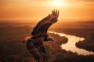 Naklejka na ściany i meble Eagle soaring with its wings spread wide against a warm sunset on the horizon, representing the freedom and greatness of the animal kingdom. Ai generated