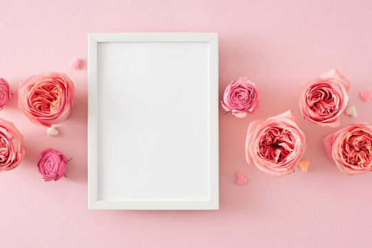 Top view composition of white photo frame and flowers pink rose buds and small hearts baubles on isolated light pink background. Mother's Day concept